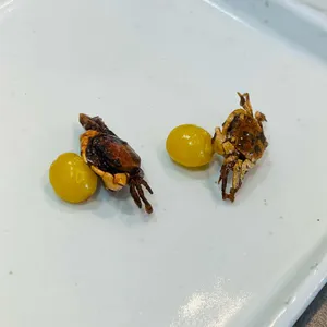 오찬회동 사진
