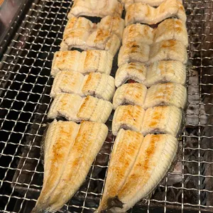 우리민물장어 사진