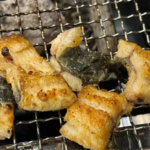 우리민물장어 사진 2