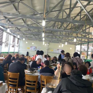 물치항활어회센타 리뷰 사진