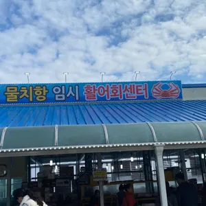 물치항활어회센타 리뷰 사진
