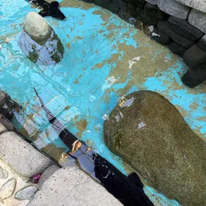 통영동백커피식물원 리뷰 사진