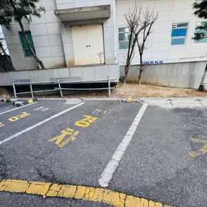 서린낙지 리뷰 사진
