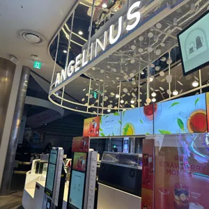 엔제리너스 사진 2