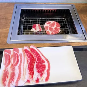 혼고집 사진