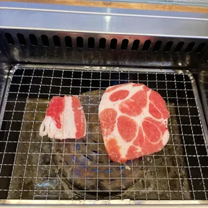 혼고집 사진