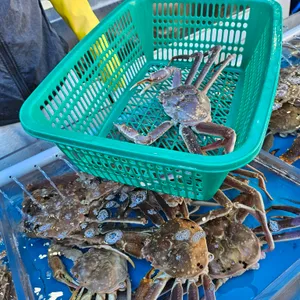 서생원조대게 리뷰 사진