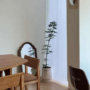츠오흐커피 리뷰 사진