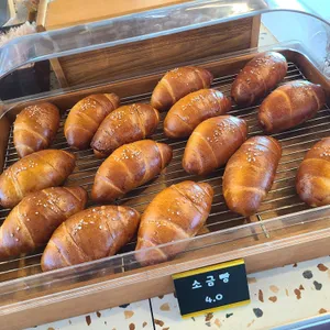 피카피오 사진