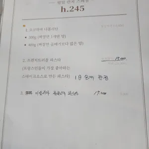 h245 리뷰 사진