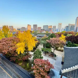 리에제와플 더 뷰 리뷰 사진