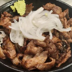 홍대개미 사진
