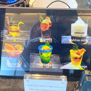 엔틸로프 리뷰 사진