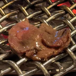 초원 사진