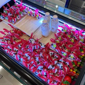 설악딸기모찌 사진