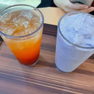 투래빗 사진 1
