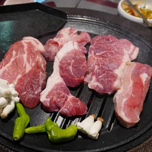 부산갈매기 사진
