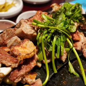 부산갈매기 사진