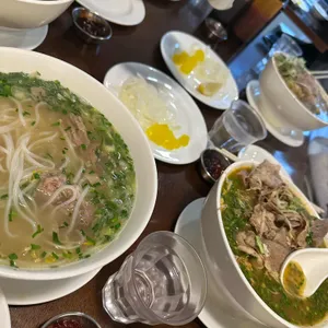 포레스트 사진