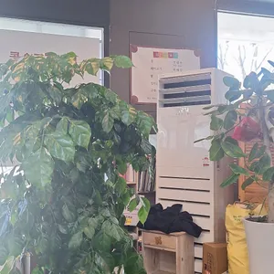 콩애가 리뷰 사진