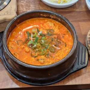 콩애가 사진