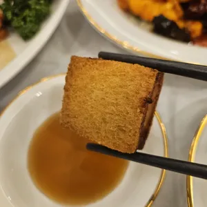 하이보 사진