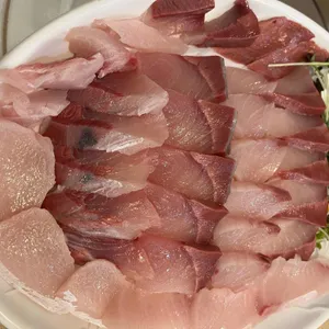 회한마당 사진