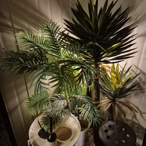 넉아웃 리뷰 사진