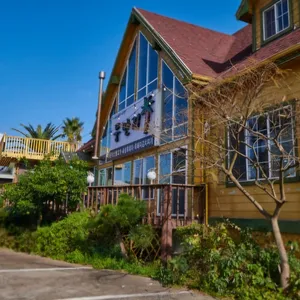 뚱딴지 대표 사진