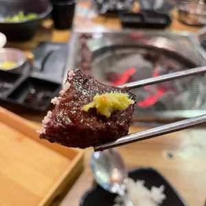 황소랑 사진