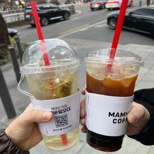 매머드익스프레스 리뷰 사진