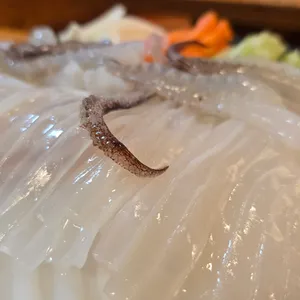 오징어나라 사진