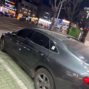 신가네코다리 리뷰 사진