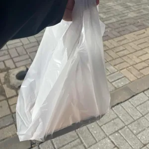 무진돈 사진