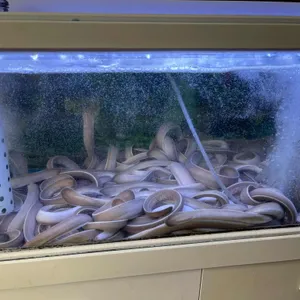 마산이모집 리뷰 사진