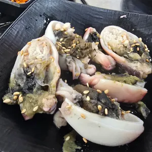 쭈꾸미가알고싶다 사진