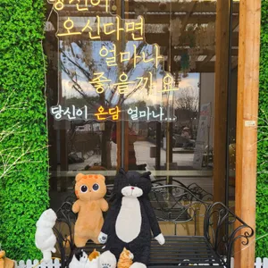 카페온담 리뷰 사진