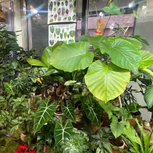 조르막 사진 2
