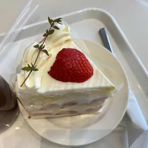 인투커피 사진