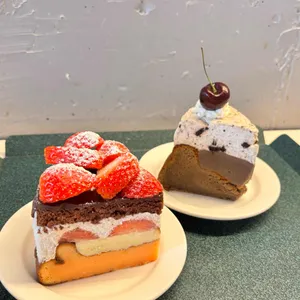 시너리 사진