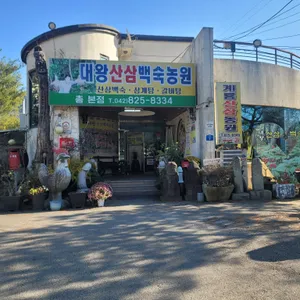 대왕산삼백숙농원 리뷰 사진