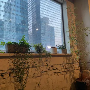 카페느티 리뷰 사진