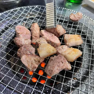 그집껍데기 사진 2