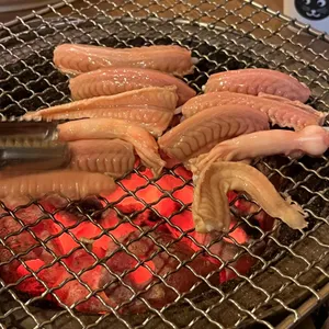 땡초꼼장어 사진