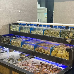 무한조개 사진 2