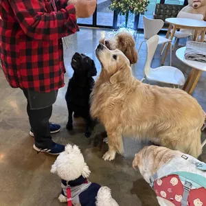 카페 꼰띠고 사진 2