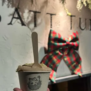 받터 사진