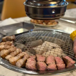 꼬숩 사진