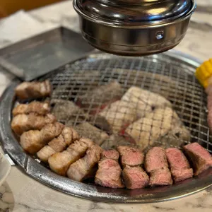 꼬숩 사진