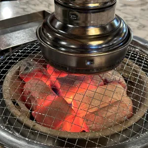 꼬숩 사진